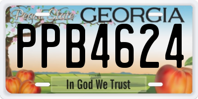 GA license plate PPB4624