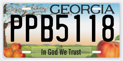 GA license plate PPB5118