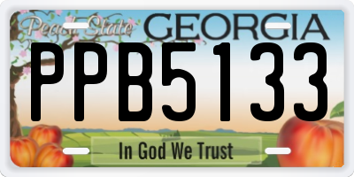 GA license plate PPB5133