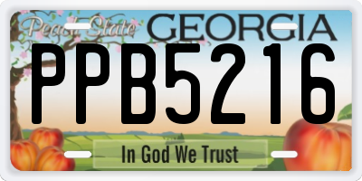 GA license plate PPB5216