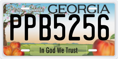 GA license plate PPB5256