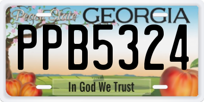 GA license plate PPB5324