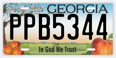 GA license plate PPB5344
