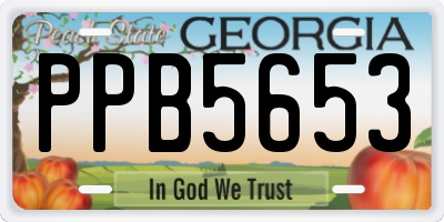 GA license plate PPB5653