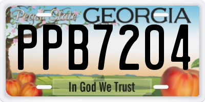 GA license plate PPB7204