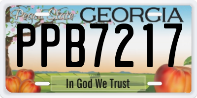 GA license plate PPB7217