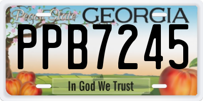 GA license plate PPB7245