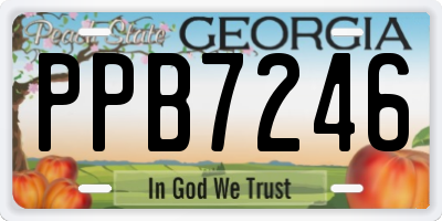 GA license plate PPB7246