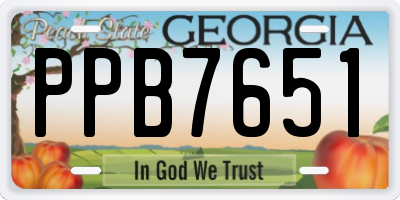 GA license plate PPB7651