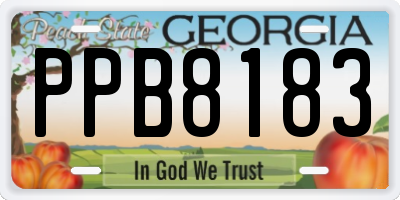 GA license plate PPB8183