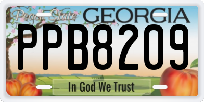 GA license plate PPB8209