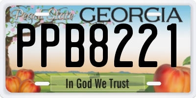 GA license plate PPB8221