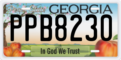 GA license plate PPB8230