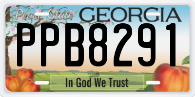 GA license plate PPB8291