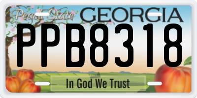 GA license plate PPB8318