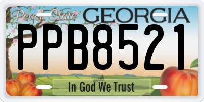 GA license plate PPB8521