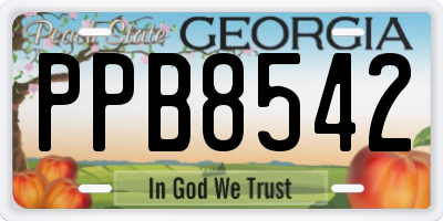 GA license plate PPB8542