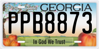 GA license plate PPB8873