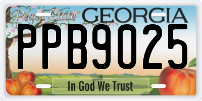 GA license plate PPB9025