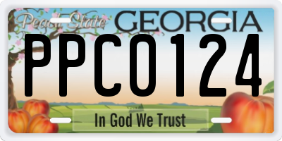 GA license plate PPC0124