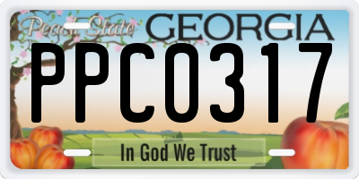 GA license plate PPC0317