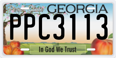 GA license plate PPC3113