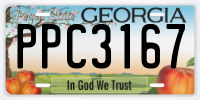 GA license plate PPC3167