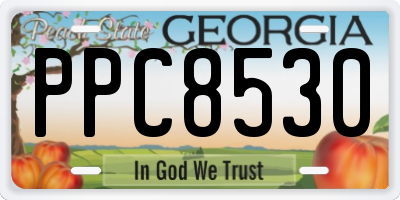 GA license plate PPC8530
