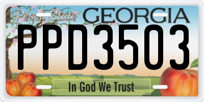 GA license plate PPD3503