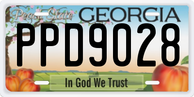 GA license plate PPD9028