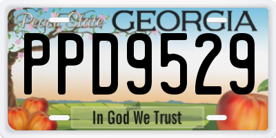 GA license plate PPD9529