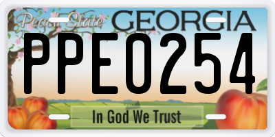 GA license plate PPE0254