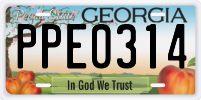 GA license plate PPE0314