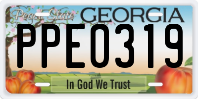 GA license plate PPE0319