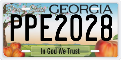 GA license plate PPE2028