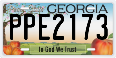 GA license plate PPE2173