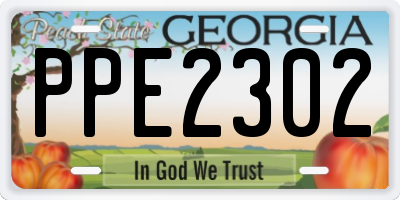 GA license plate PPE2302