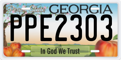 GA license plate PPE2303