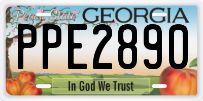 GA license plate PPE2890