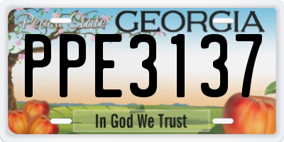 GA license plate PPE3137