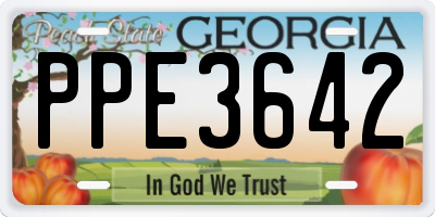 GA license plate PPE3642