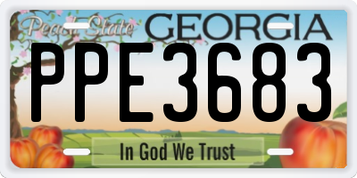 GA license plate PPE3683