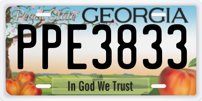 GA license plate PPE3833