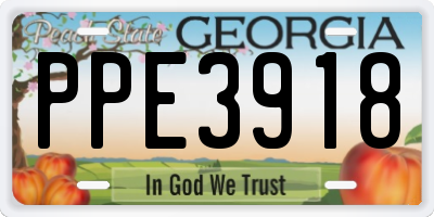 GA license plate PPE3918