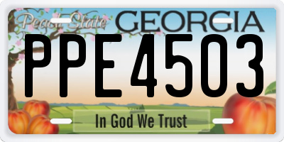 GA license plate PPE4503