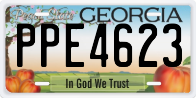 GA license plate PPE4623
