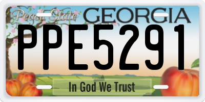 GA license plate PPE5291