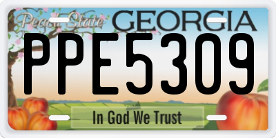 GA license plate PPE5309