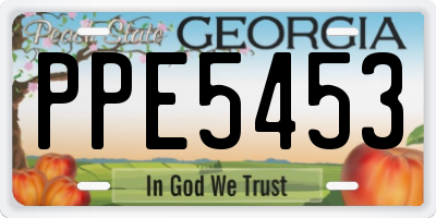 GA license plate PPE5453