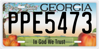 GA license plate PPE5473